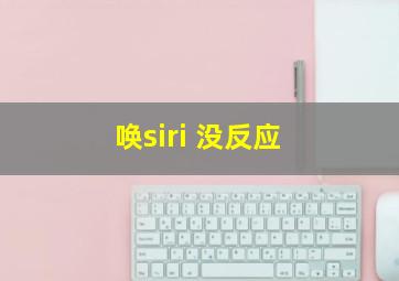 唤siri 没反应